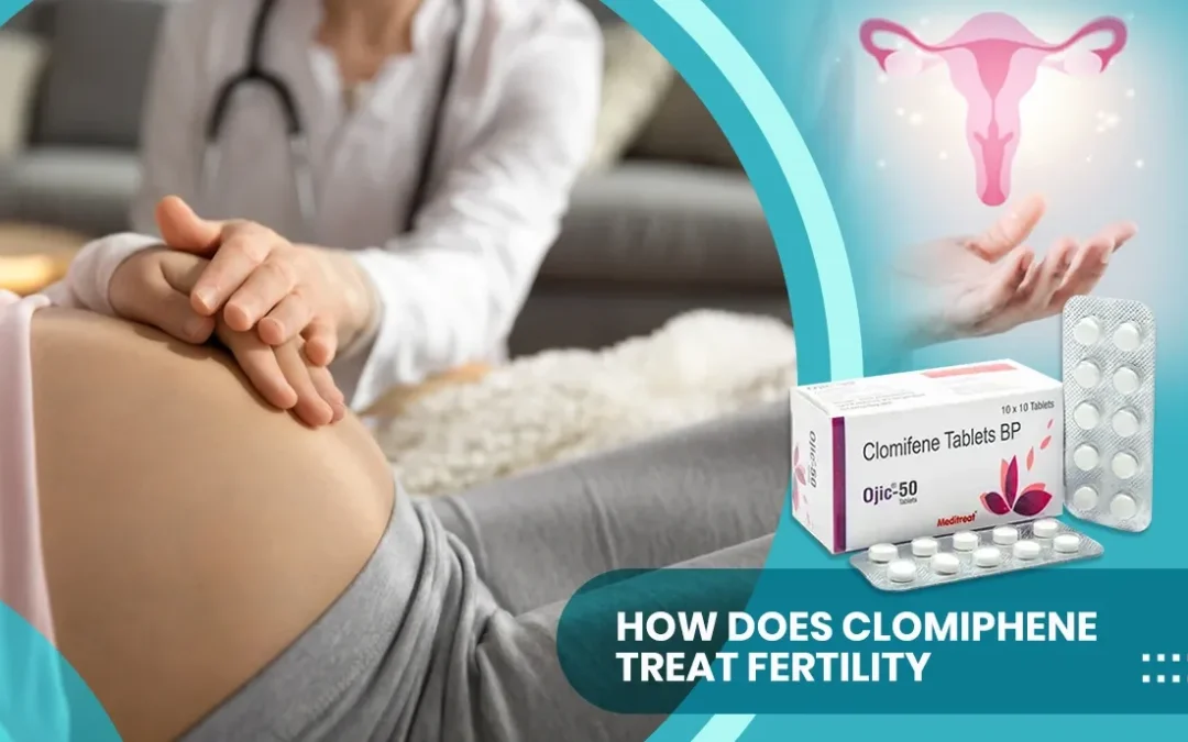 How does Clomiphene treat Fertility