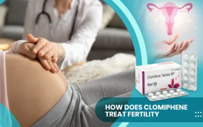How does Clomiphene treat Fertility